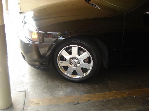 NEW P1C 010.jpg NEW P1C 010.jpg