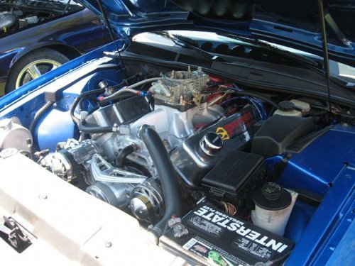 fastmarkviii4.JPG