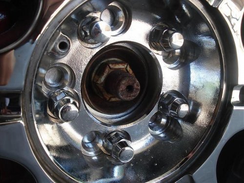 Picture 255.jpg Picture 255.jpg