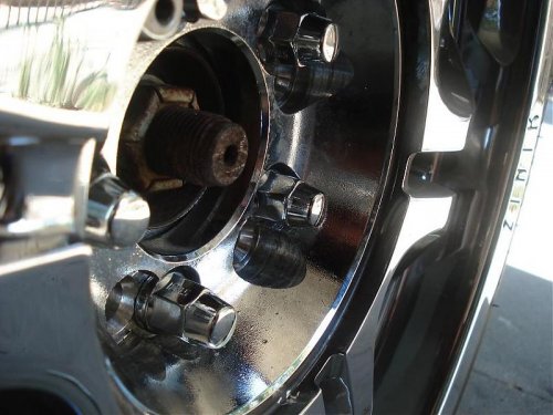 Picture 258.jpg Picture 258.jpg