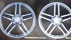RIMS1.jpg