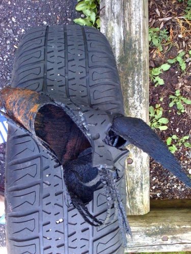 tire1.jpg