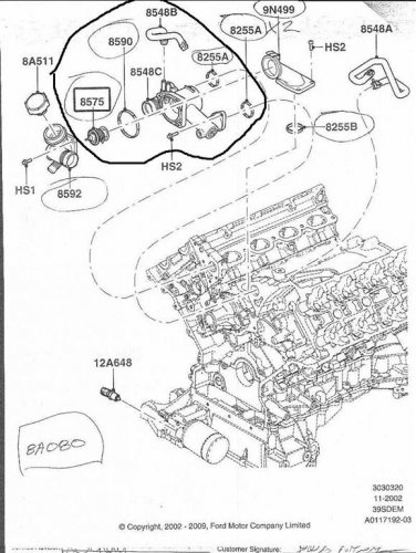 untitled (Large).JPG