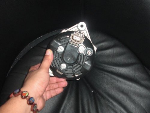 CIMG7008 (Medium).JPG CIMG7008 (Medium).JPG