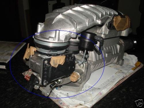 Copy of !Bfh1+m!BWk~$(KGrHqYH-EIErgcO3e3HBLBrjNFppQ~~_12.JPG