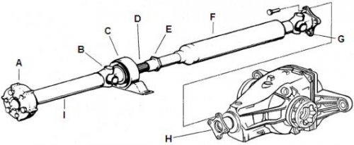 BMW-318i-Driveshaft-and-Final-Drive-Components-Assembly-Parts-Diagram.jpg