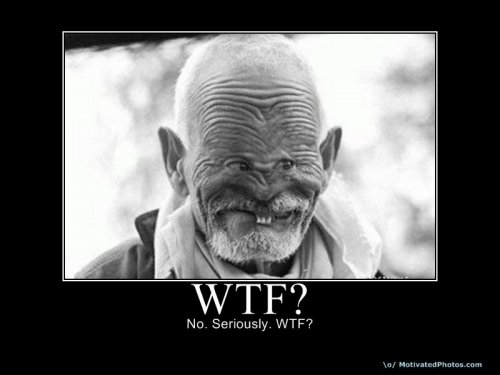 wtf%20face.jpg