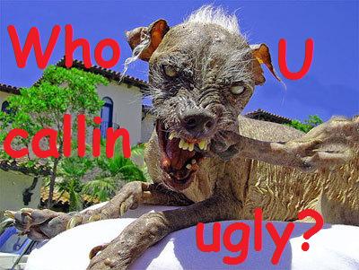 ugly-dog.jpg