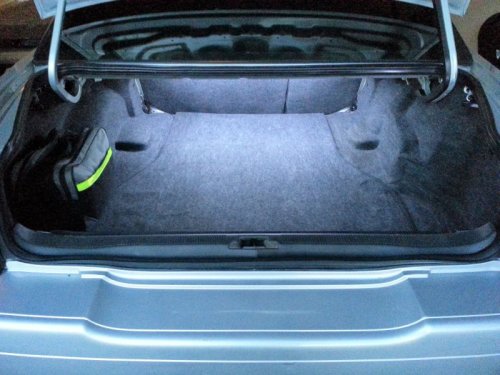 trunk2.jpg