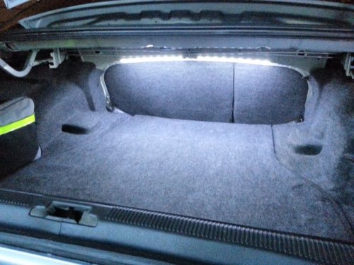 trunk3.jpg