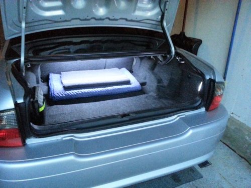 trunk5.jpg