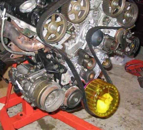 Hamster-pulley.jpg