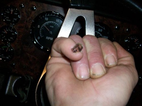 100_3071.jpg 100_3071.jpg