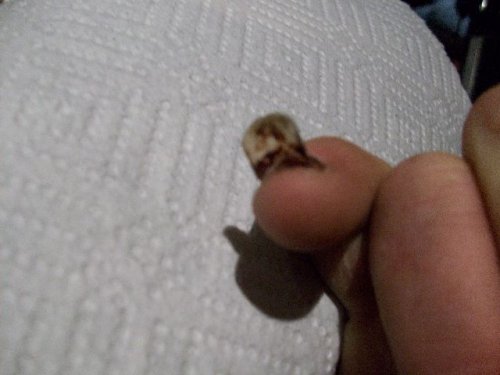 100_3076.jpg 100_3076.jpg