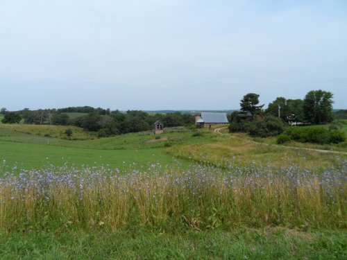 SAM_0167.jpg