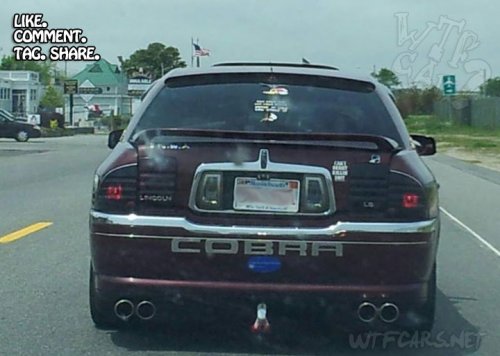 w293.jpg