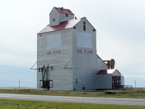 14162543.jpg