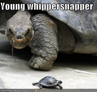Young whippersnapper.jpg