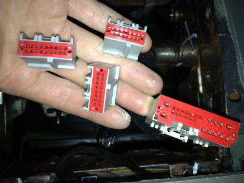 full harness large.jpg