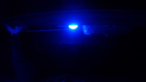 blue trunk led2.jpg