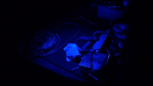 blue trunk.jpg