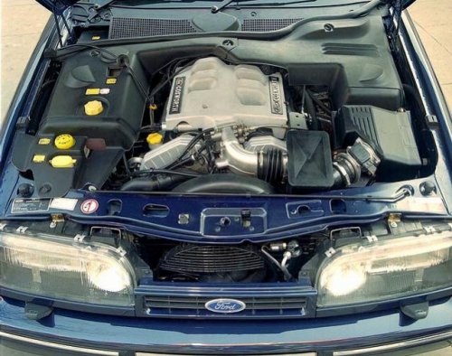 cossie v-6.jpg
