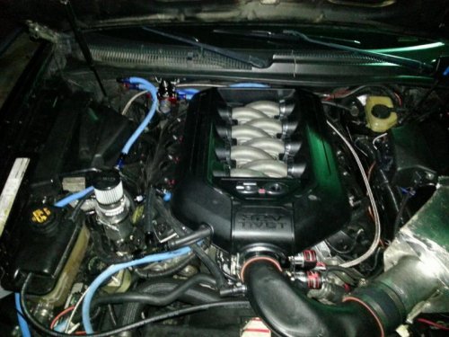 5.0 Engine bay.jpg