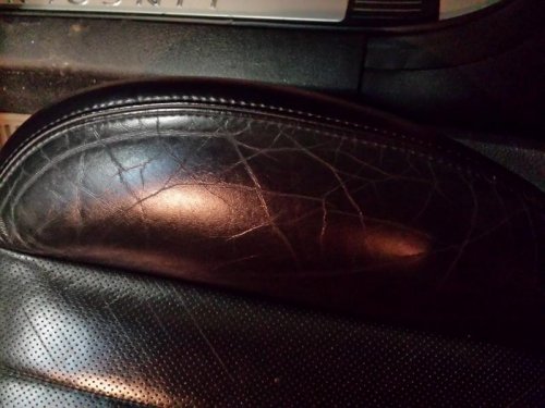 20131228_114120_LLS.jpg