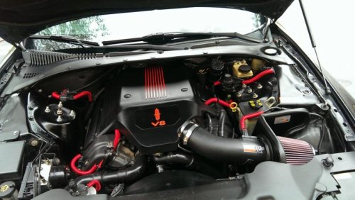 IMAG1212.jpg