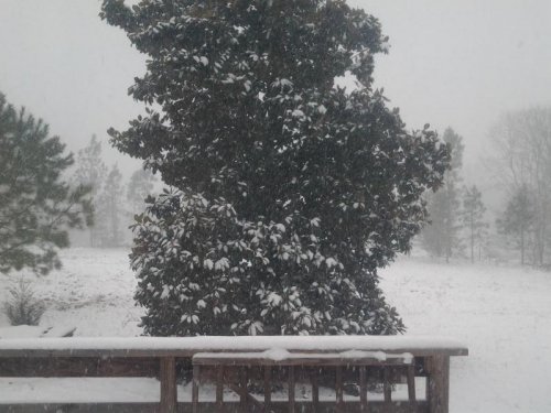 Snow 021214b.jpg