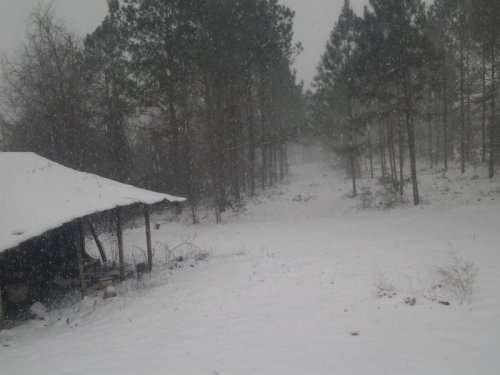 Snow 021214c.jpg