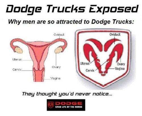 dodge-trucks-exposed1.jpg