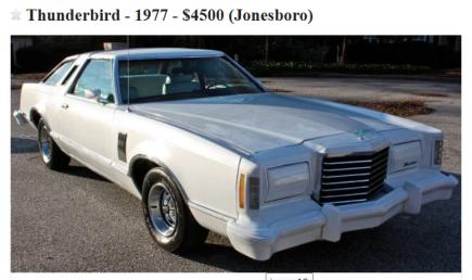 77 T_Bird.jpg