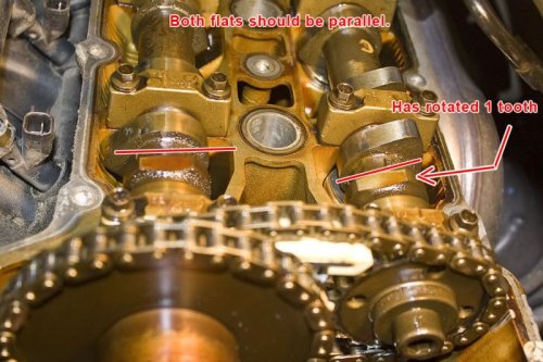 IMG_3799.jpg IMG_3799.jpg