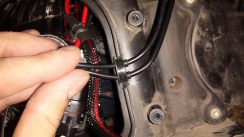 7Trimmed DDM Gasket to Size.jpg