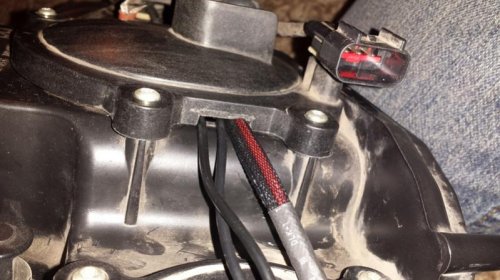 8Wired_Gasket_Backplate.jpg