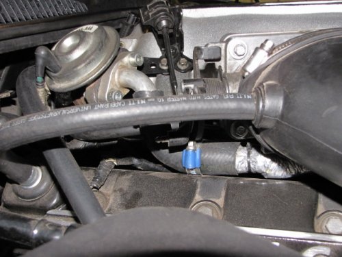 Lincci98 056.JPG