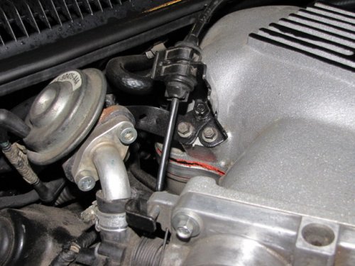 Lincci98 057.JPG