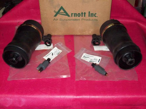 Arnott rears.jpg