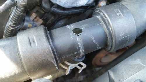 20160329_125517.jpg