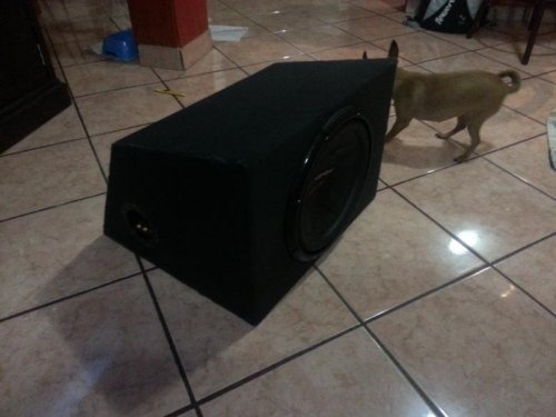 subwoofer carpet (5).jpg