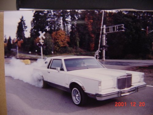 i1126.jpg