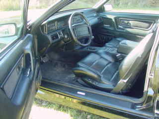 i1232.jpg