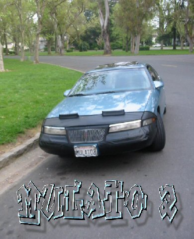 i1341.jpg