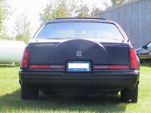 i1568.jpg