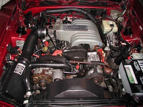 i2307.jpg