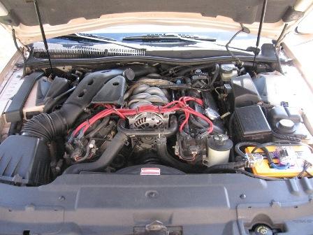 i2505.jpg