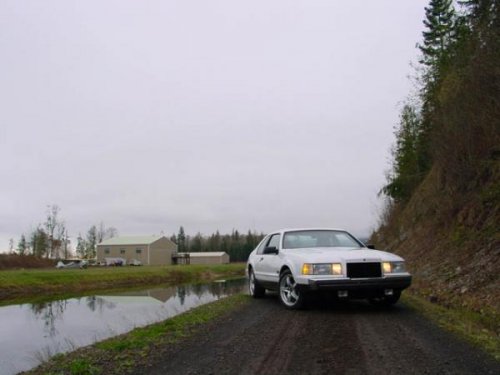 i2669.jpg