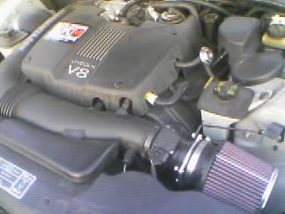 i2725.jpg