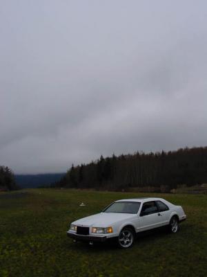 i2870.jpg